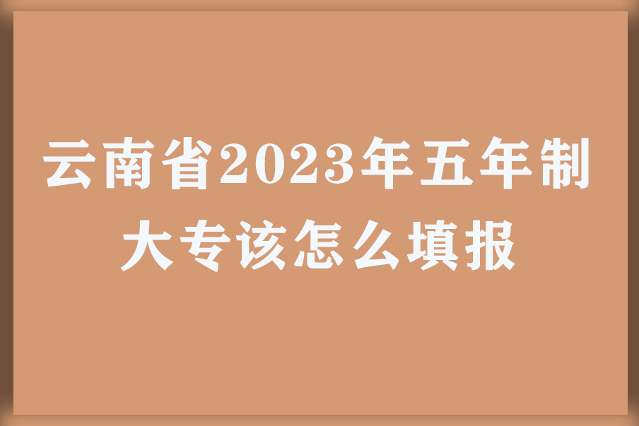云南省2023年五年制大专该怎么填报