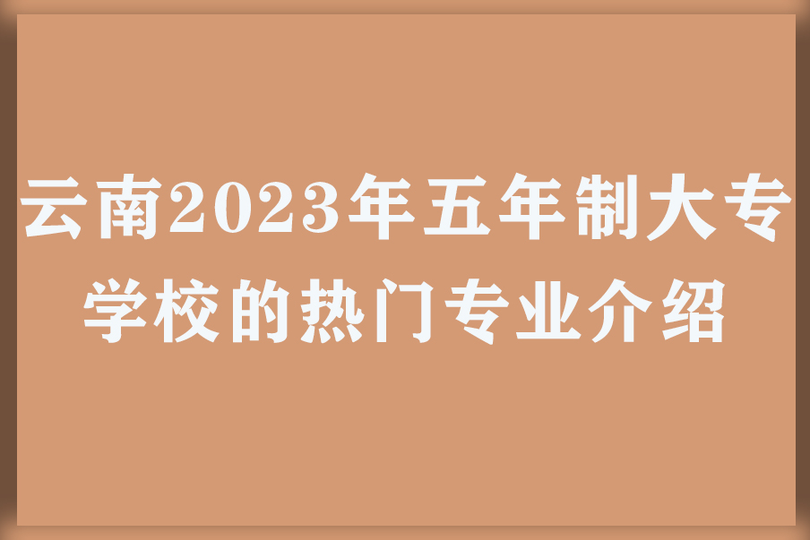 云南2023年五年制大专学校的热门专业介绍