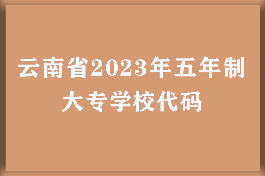 云南省2023年五年制大专学校代码