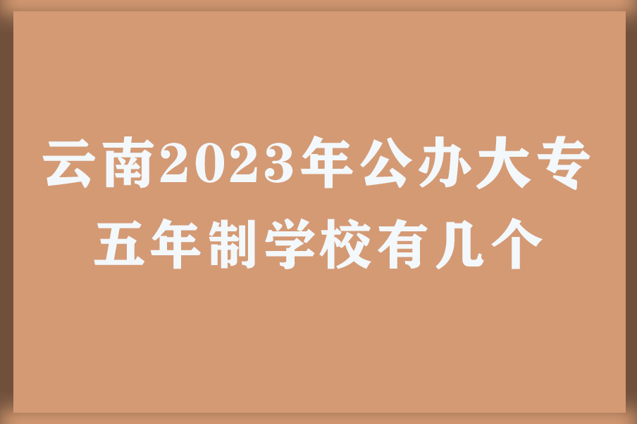 云南2023年公办大专五年制学校有几个